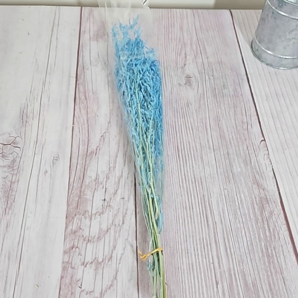 Pampas Grass Bunch